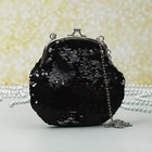 Сумка женская, отдел на фермуаре, длинная цепь, цвет чёрный/серебристый - Фото 1
