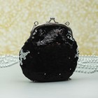 Сумка женская, отдел на фермуаре, длинная цепь, цвет чёрный/серебристый - Фото 2