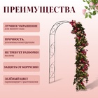 Арка садовая, 250×120×30 см, для вьющихся растений, металлическая, зелёная, «Узор-1» - Фото 2