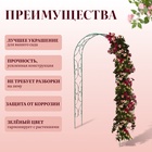 Арка садовая, 240×120×30 см, для вьющихся растений, металлическая, зелёная, «Узор-2» - Фото 2
