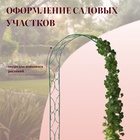 Арка садовая, 250 × 120 × 30 см, для вьющихся растений, металлическая, зелёная, «Узор-2» 3538835 - фото 2208291