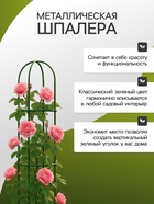 Шпалера, 135×30×1 см, металл, зелёная, «Ракета Клевер» - Фото 3