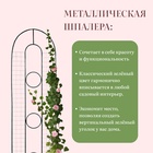 Шпалера «3 кольца», 200×48×1 см, металл, зелёная - Фото 4
