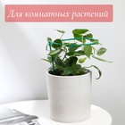 Кустодержатель для клубники, d=15 см, h=25 см, ножка d=0.3 см, металл, зелёный, Greengo 3538849 - фото 13394365