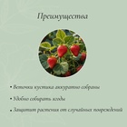 Кустодержатель для клубники, d=15 см, h=25 см, ножка d=0.3 см, металл, зелёный, Greengo 3538849 - фото 13394366