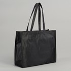 Сумка хозяйственная, отдел на молнии, цвет чёрный - Фото 1