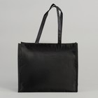 Сумка хозяйственная, отдел на молнии, цвет чёрный - Фото 3