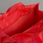 Сумка хозяйственная, отдел на молнии, цвет красный - Фото 5