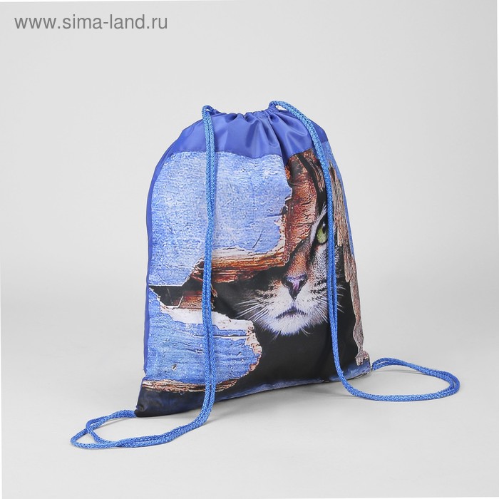 Мешок для обуви 420 х 350, МСО-5С, «Кот» - Фото 1