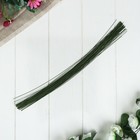 Проволока для изготовления искусственных цветов "Зелёная" длина 40 см сечение 0,07 см - Фото 1