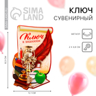 Ключ сувенирный на выпускной «Ключ к знаниям», металл, 2×4.8 см - Фото 1