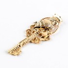 Ключ сувенирный на выпускной «Ключ к знаниям», металл, 2×4.8 см - Фото 4