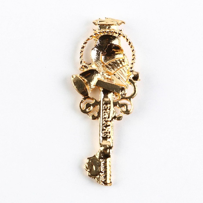 Ключ сувенирный на Выпускной «Ключ к знаниям», металл, 2 х 4,8 см - фото 1883365612