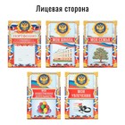 Папка школьная на кольцах «Портфолио школьника», 10 листов-разделителей, 24,5 х 32 см. - Фото 2