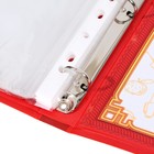 Папка школьная на кольцах «Портфолио школьника», 13 листов-разделителей, 24.5×32 см - Фото 7