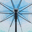 Зонт - трость полуавтоматический «Горы», 10 спиц, R = 49 см. цвет голубой - Фото 3