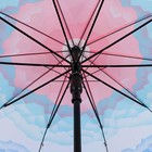 Зонт - трость полуавтоматический «Горы», 10 спиц, R = 49 см, цвет розовый/голубой МИКС - Фото 6