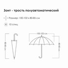 Зонт - трость полуавтоматический «Горы», 10 спиц, R = 49 см, цвет фиолетовый МИКС - Фото 7