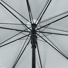 Зонт - трость полуавтоматический, 10 спиц, R = 61 см, цвет бордовый - Фото 3