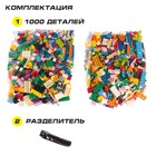 Конструктор «Классический набор», 1000 деталей - Фото 2