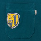 Комплект мужской (футболка, шорты) М-835-26 цвет мурена, р-р 52 - Фото 5