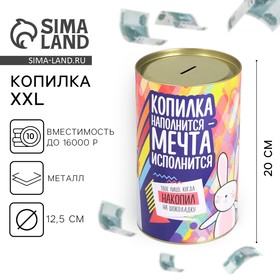 Копилка XXL «На исполнение мечты», 20 х 12,5 см 2929554