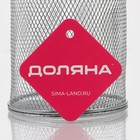 Корзинка для картофеля фри Доляна «Честер», d=10 см, нержавеющая сталь - Фото 3