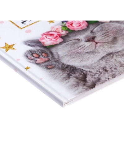 Дневник школьный для 1-11 классов, «Котенок с розами», твёрдая обложка 7БЦ, глянцевая ламинация, 40 листов