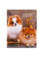 Дневник школьный для 1-11 классов, «Шпиц», твёрдая обложка 7БЦ, глянцевая ламинация, 40 листов - Фото 3