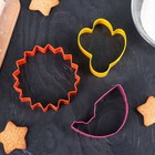 Набор форм для вырезания печенья «Природа», 3 шт, 7,6 / 8,5 / 6,3 см, цвет МИКС - Фото 1