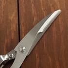 Набор ножей кухонных на подставке, ножи 9 см, 13 см, 17 см, 19 см, 20 см, цвет коричневый - Фото 3