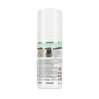 Красящий спрей для волос L'Oreal Colorista Spray, на 1 день, цвет мятный, 75 мл - Фото 2