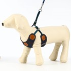 Комплект "Рефлекс", размер L, поводок 95 см, ОГ 25-64 см, джинс - фото 24683857