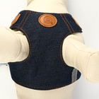 Комплект "Рефлекс", размер L, поводок 95 см, ОГ 25-64 см, джинс - фото 24683860