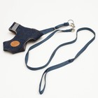 Комплект "Рефлекс", размер L, поводок 95 см, ОГ 25-64 см, джинс - фото 24683861