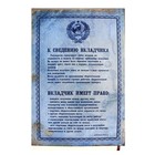 Ежедневник "Сберкнижка", 80 листов - Фото 2
