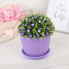 Горшок с поддоном 13×13×10 см "Каприя", пластик, цвет МИКС - Фото 2