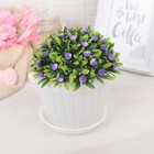 Горшок с поддоном 13×13×10 см "Каприя", пластик, цвет МИКС - Фото 3