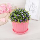 Горшок с поддоном 13×13×10 см "Каприя", пластик, цвет МИКС - Фото 4