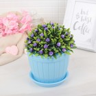 Горшок с поддоном 13×13×10 см "Каприя", пластик, цвет МИКС - Фото 5