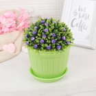 Горшок с поддоном 13×13×10 см "Каприя", пластик, цвет МИКС - Фото 6