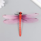 Магнит пластик "Стрекоза Линдения" 9,5х13 см МИКС - фото 24359523