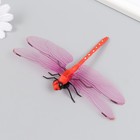 Магнит пластик "Стрекоза Линдения" 9,5х13 см МИКС - фото 24359524