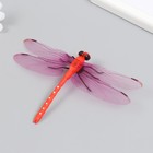 Магнит пластик "Стрекоза Линдения" 9,5х13 см МИКС - фото 24359525