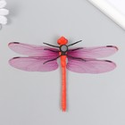 Магнит пластик "Стрекоза Линдения" 9,5х13 см МИКС - фото 24359526