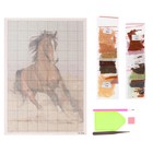 Алмазная мозаика «Дикий конь», 23 цвета - Фото 2