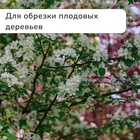 Секатор плоскостной, 9" (23 см), с пластиковыми ручками, МИКС - Фото 8