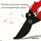 Секатор плоскостной, 9" (23 см), с пластиковыми ручками, МИКС - Фото 2