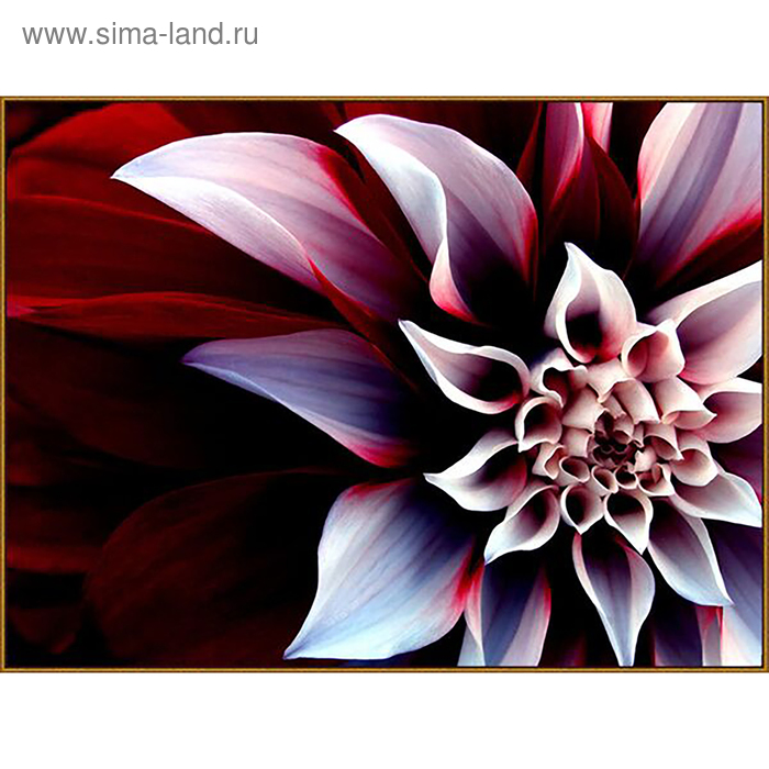 Алмазная мозаика "Георгин", 27 цветов - Фото 1