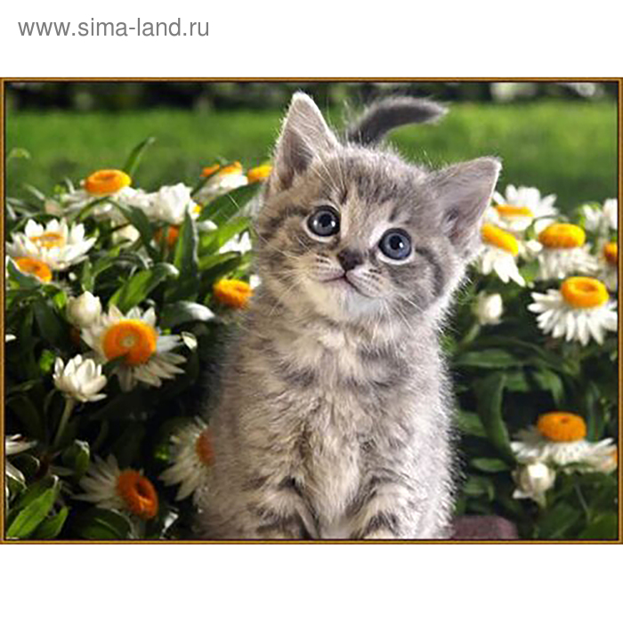Алмазная мозаика «Послушный котёнок», 32 цвета - Фото 1